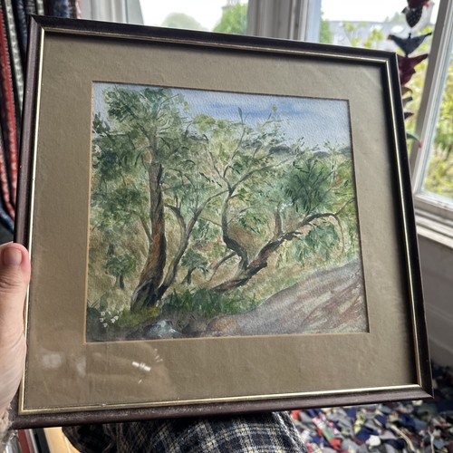 Vintage watercolour framed - vintage,