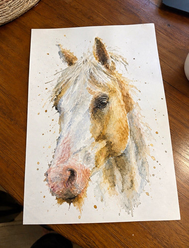 Watercolour horse head - head, print
