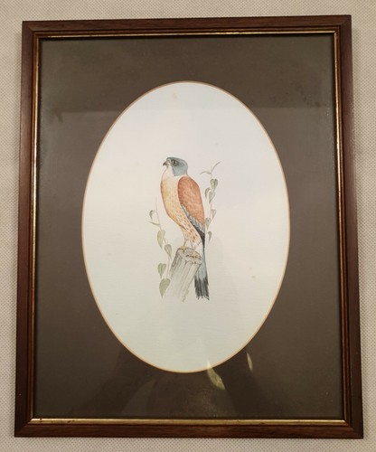 Framed british watercolour - british,