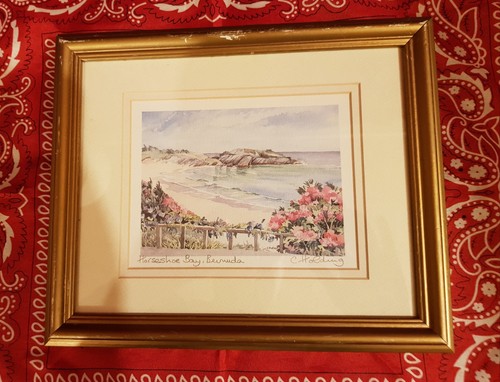 Bermuda signed framed print - signed,