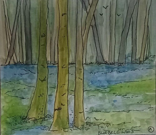 Bluebell wood original - ,bluebell, wood,original