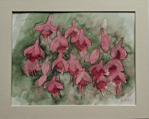 Painting fuschia flowers - painting,