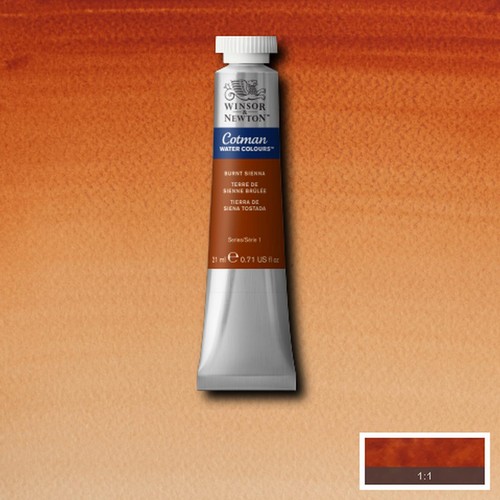 Winsor newton watercolour - winsor,