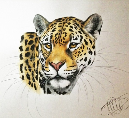 Original painting jaguar - original,