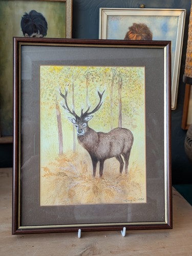 Stag bay original 1990 - bay,