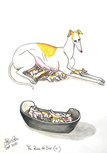 Original gouache - original,