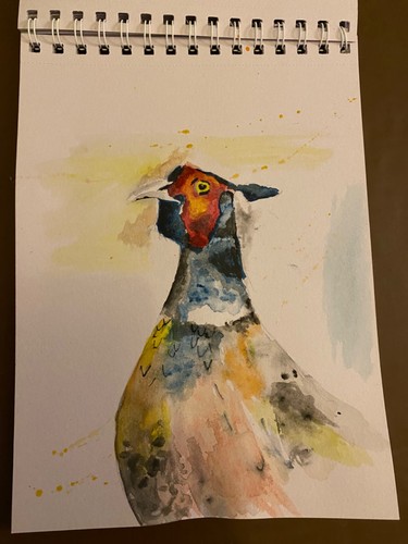 Pheasant watercolour original