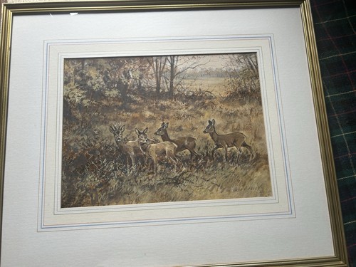 John paley water colour - paley,