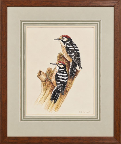 Watercolour painting framed - watercolour,