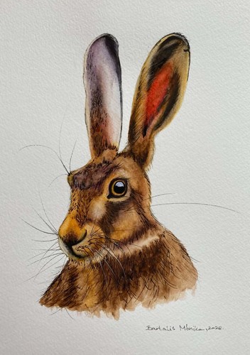 Hare original watercolour - hare,original,