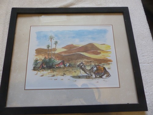 Original vintage desert oasis - original,