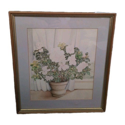 Vintage watercolour prout - watercolour,