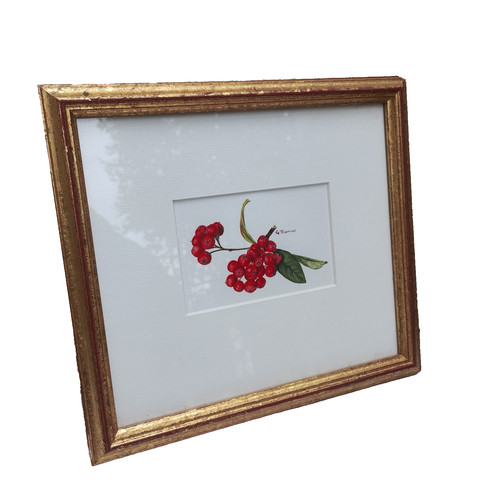 Vintage watercolour berries - vintage, &